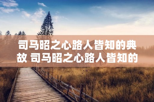 司马昭之心路人皆知的典故 司马昭之心路人皆知的典故发生在什么时期