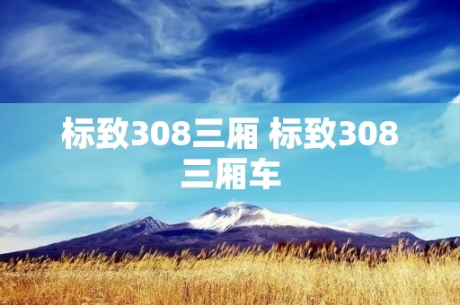 标致308三厢 标致308三厢车