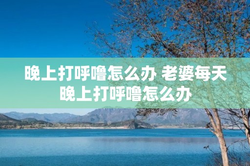 晚上打呼噜怎么办 老婆每天晚上打呼噜怎么办 晚上打呼噜怎么办 老婆每天晚上打呼噜怎么办