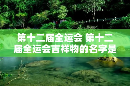 第十二届全运会 第十二届全运会吉祥物的名字是