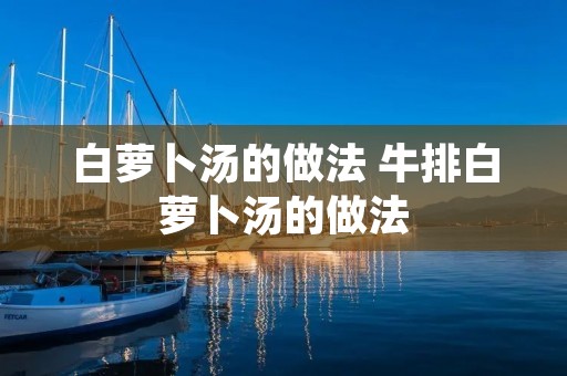 白萝卜汤的做法 牛排白萝卜汤的做法