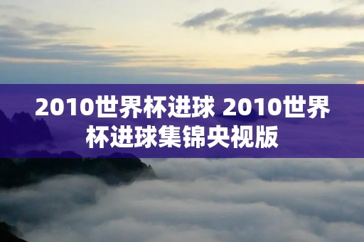 2010世界杯进球 2010世界杯进球集锦央视版
