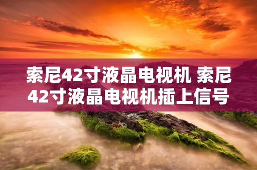 索尼42寸液晶电视机 索尼42寸液晶电视机插上信号就灭是怎么回事