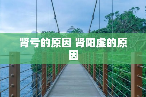 肾亏的原因 肾阳虚的原因