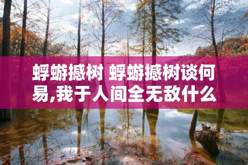 蜉蝣撼树 蜉蝣撼树谈何易,我于人间全无敌什么意思