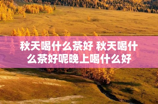 秋天喝什么茶好 秋天喝什么茶好呢晚上喝什么好
