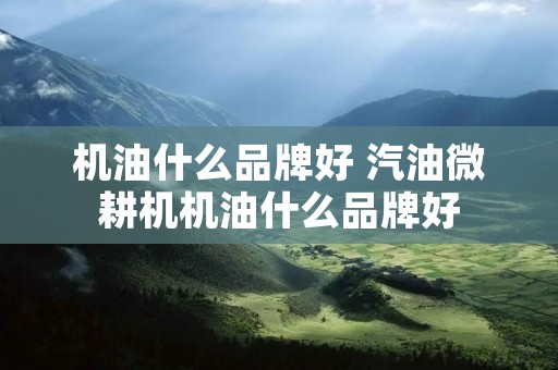 机油什么品牌好 汽油微耕机机油什么品牌好 机油什么品牌好 汽油微耕机机油什么品牌好