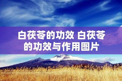 白茯苓的功效 白茯苓的功效与作用图片