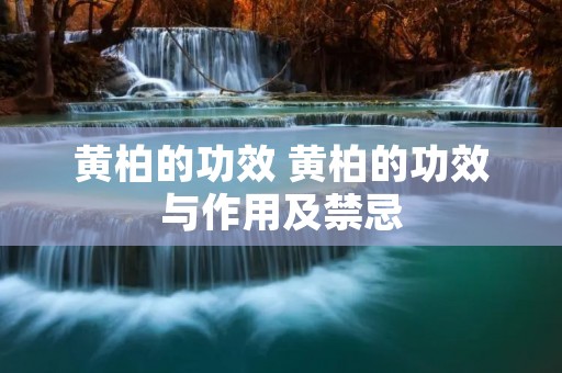 黄柏的功效 黄柏的功效与作用及禁忌 黄柏的功效 黄柏的功效与作用及禁忌
