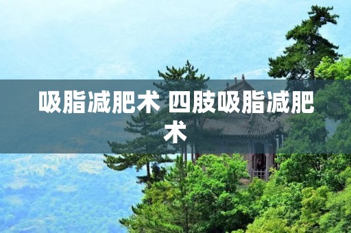 吸脂减肥术 四肢吸脂减肥术 吸脂减肥术 四肢吸脂减肥术