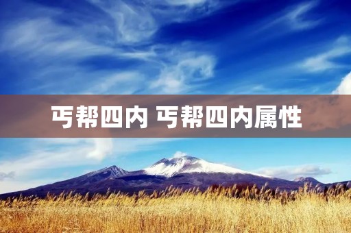 丐帮四内 丐帮四内属性 丐帮四内 丐帮四内属性