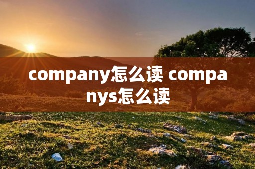 company怎么读 companys怎么读