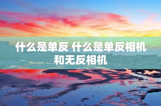什么是单反 什么是单反相机和无反相机