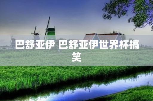 巴舒亚伊 巴舒亚伊世界杯搞笑