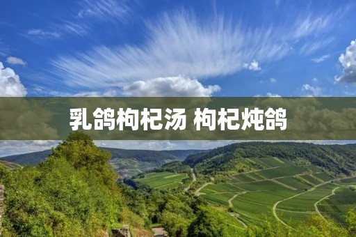乳鸽枸杞汤 枸杞炖鸽