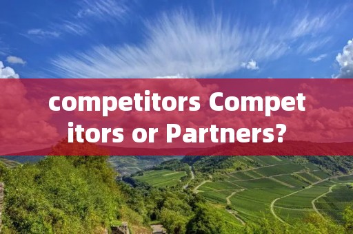 competitors Competitors or Partners?
