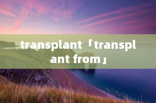 transplant「transplant from」