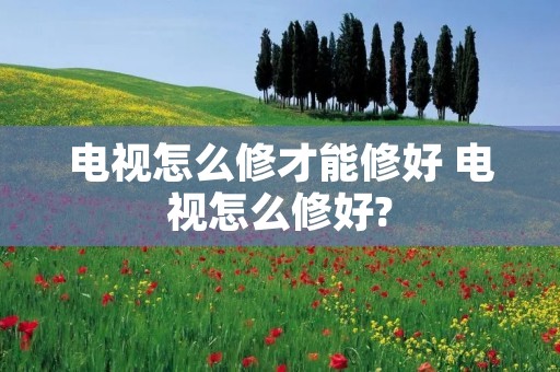 电视怎么修才能修好 电视怎么修好?