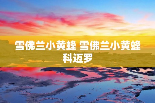 雪佛兰小黄蜂 雪佛兰小黄蜂科迈罗 雪佛兰小黄蜂 雪佛兰小黄蜂科迈罗