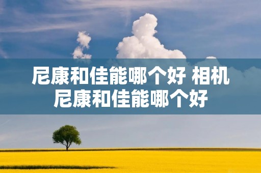 尼康和佳能哪个好 相机尼康和佳能哪个好