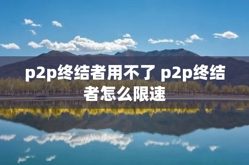 p2p终结者用不了 p2p终结者怎么限速