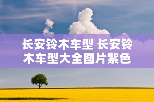 长安铃木车型 长安铃木车型大全图片紫色 长安铃木车型 长安铃木车型大全图片紫色