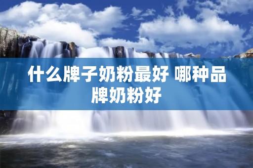 什么牌子奶粉最好 哪种品牌奶粉好