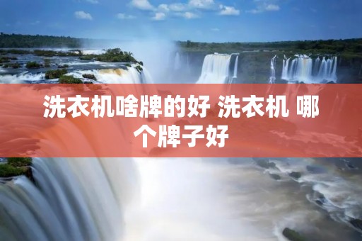 洗衣机啥牌的好 洗衣机 哪个牌子好
