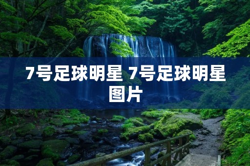 7号足球明星 7号足球明星图片 7号足球明星 7号足球明星图片