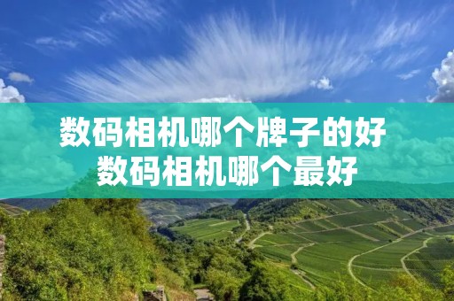 数码相机哪个牌子的好 数码相机哪个最好