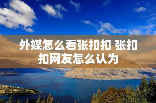 外媒怎么看张扣扣 张扣扣网友怎么认为