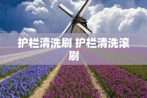 护栏清洗刷 护栏清洗滚刷 护栏清洗刷 护栏清洗滚刷