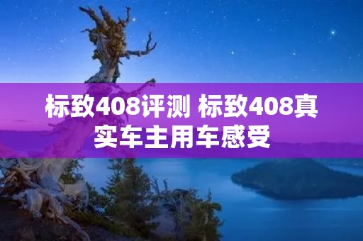 标致408评测 标致408真实车主用车感受
