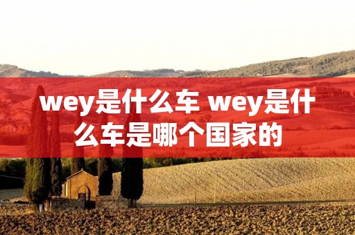 wey是什么车 wey是什么车是哪个国家的 wey是什么车 wey是什么车是哪个国家的