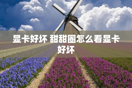 显卡好坏 甜甜圈怎么看显卡好坏 显卡好坏 甜甜圈怎么看显卡好坏