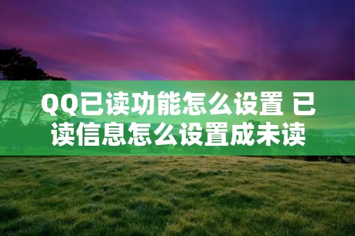 QQ已读功能怎么设置 已读信息怎么设置成未读 QQ已读功能怎么设置 已读信息怎么设置成未读