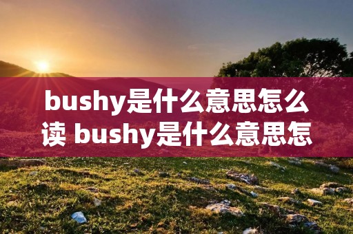 bushy是什么意思怎么读 bushy是什么意思怎么读音