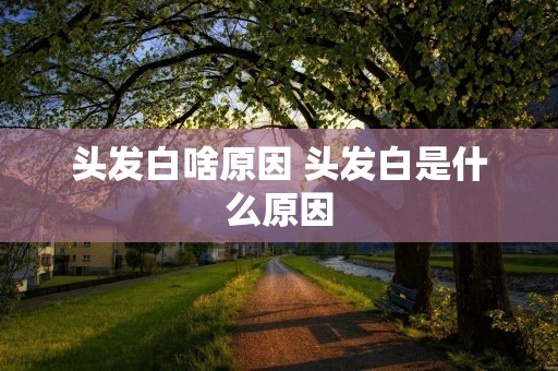 头发白啥原因 头发白是什么原因 头发白啥原因 头发白是什么原因