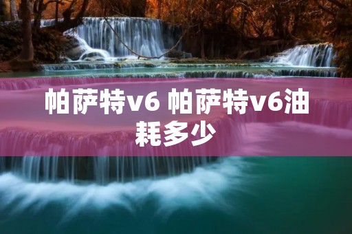 帕萨特v6 帕萨特v6油耗多少