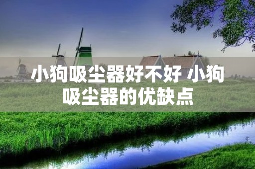 小狗吸尘器好不好 小狗吸尘器的优缺点