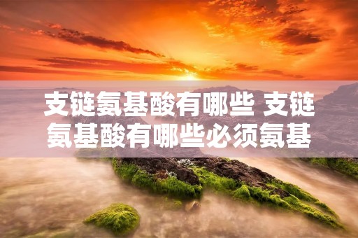 支链氨基酸有哪些 支链氨基酸有哪些必须氨基酸 支链氨基酸有哪些 支链氨基酸有哪些必须氨基酸