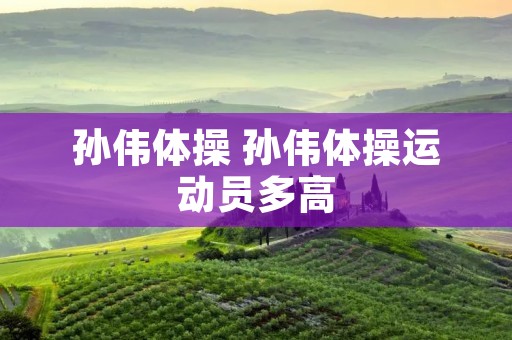 孙伟体操 孙伟体操运动员多高
