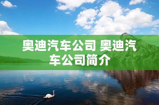 奥迪汽车公司 奥迪汽车公司简介 奥迪汽车公司 奥迪汽车公司简介