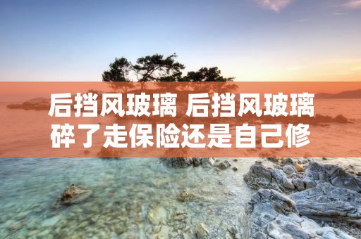 后挡风玻璃 后挡风玻璃碎了走保险还是自己修 后挡风玻璃 后挡风玻璃碎了走保险还是自己修