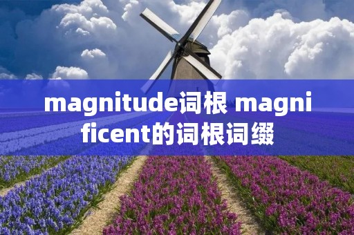magnitude词根 magnificent的词根词缀