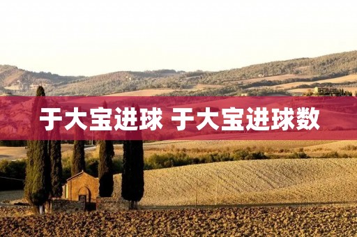 于大宝进球 于大宝进球数