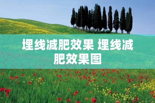 埋线减肥效果 埋线减肥效果图