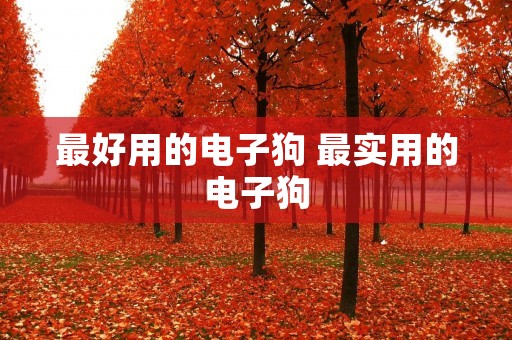 最好用的电子狗 最实用的电子狗