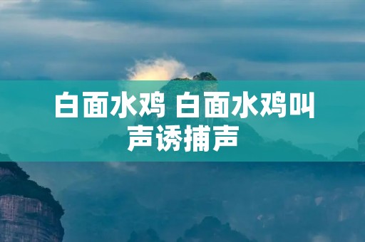 白面水鸡 白面水鸡叫声诱捕声