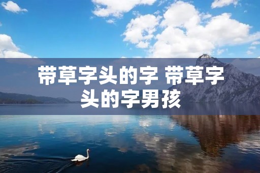 带草字头的字 带草字头的字男孩